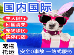 朔州空运地址国际宠物托运 【国
